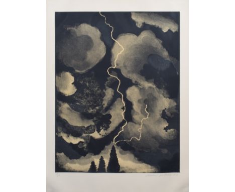 David Hockney R.A. (British, 1937-), "Study of Lightning Medium", signed, dated '73 and numbered 28/60 in pencil, published b