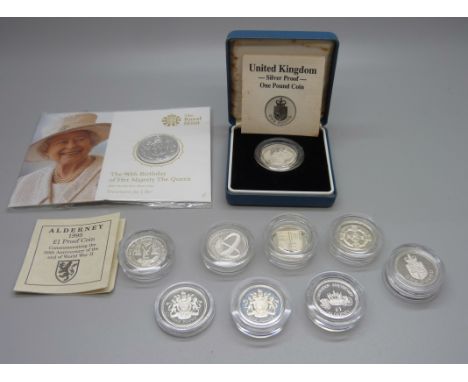 A The Royal Mint 90th Birthday of Her Majesty The Queen 2016 UK £20 fine silver coin and a collection of nine silver proof £1