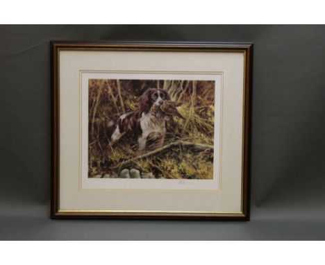 Mick Cawston a signed limited edition print of spaniel with Woodcock, 221/850 published by The Sally Mitchell Gallery.  26 cm