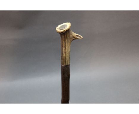 A walking stick with antler handle and inset quarter dollar coin.  Height 128 cm.