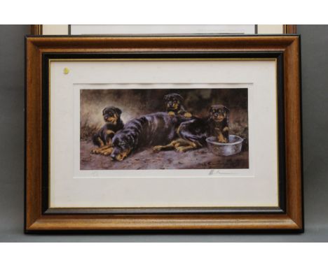 Mick Cawston two signed limited edition prints, "Staffordshire Bull Terriers" 240/850 published by Sally Mitchell Askham Nott