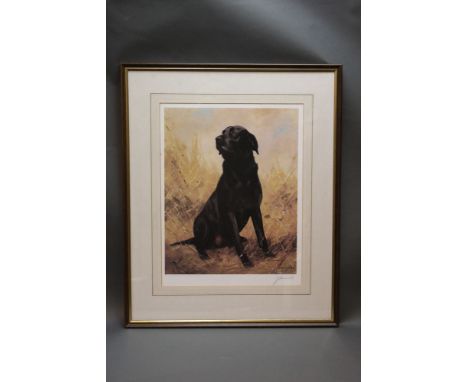 John Tricket a signed limited edition print of a black labrador, 614/850.  45 cm x 36 cm, framed and mounted.