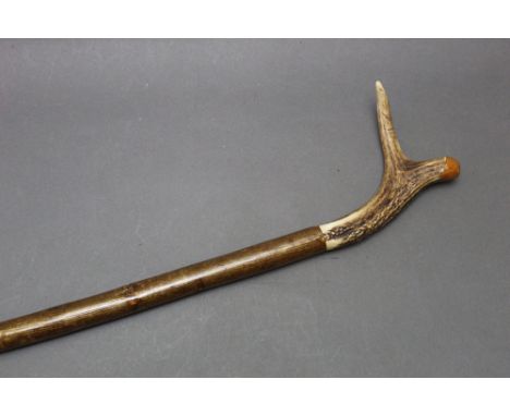 A hazel shafted walking stick with red stag antler handle, and burr yew cap.  Length 129 cm.