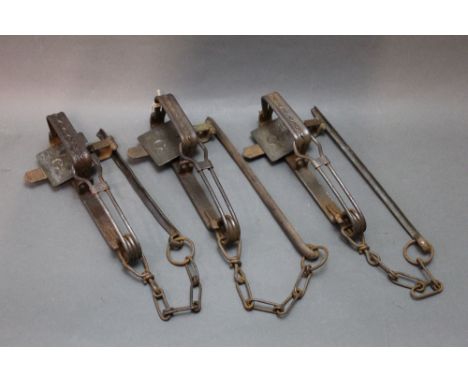 Three Glovers No. 6 R traps.