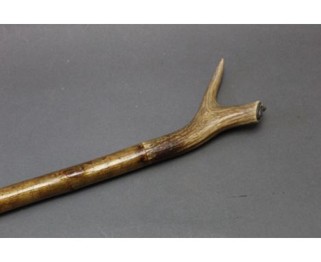 A hazel shafted walking stick with stag antler handle with inset thistle decoration.  Length 118 cm.