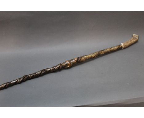 A walking stick with twisted shaft topped with a stag antler handle.  Height 127 cm.