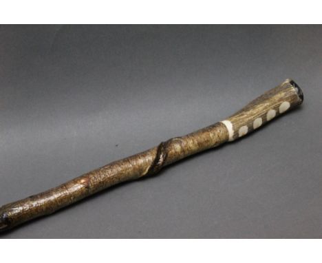 A hazel shafted walking stick with twisted shaft topped with a red stag handle.  Height 122 cm.