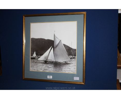 'Doris 1887'  A Superb Black & White Photographic Print of a Racing Yacht in The Solent by Beken of Cowes the World's Foremos