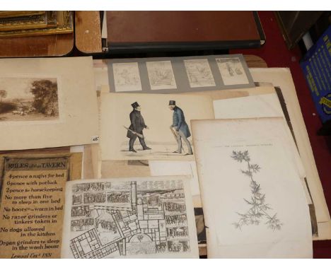 Assorted prints to include Eileen Soper botanical, portrait and topographical examples, 19th century and later, all unframed 