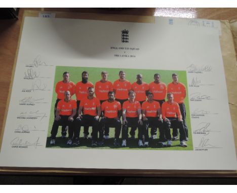 A print depicting England T20 cricket squad 