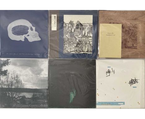 AMBIENT/ EXPERIMENTAL/ ELECTRONIC - LP/ 12" COLLECTION. A fantastic collection of roughly 40 electronic LPs. Artists/ titles 