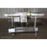 Conveyor System, 76" long x 12" wide, Electric Drive