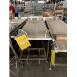 Conveyor 9'5''X31'' -2, Year 2015,