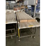 Conveyor 11'3''X31'' -1, Year 2015,