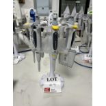 Pipette carousel with various pipettes