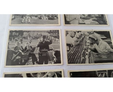 CADBURY, modern selection, inc. factory scenes (6), playing cards, football, 1998 WC chart, advert pages, Animals booklets, N