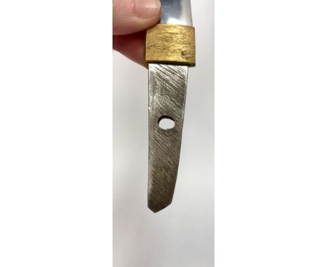 EARLY 20TH CENTURY JAPANESE TANTO, cased in cloisonne enamel, the blade 23cm long