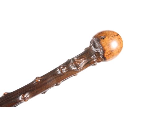 A BURR WOOD WALKING STICK. 88.5cm long