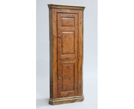 AN 18TH CENTURY YEW WOOD STANDING CORNER CUPBOARD, with two-panel door above a single panel door. 200cm high, 75cm wide, 37cm