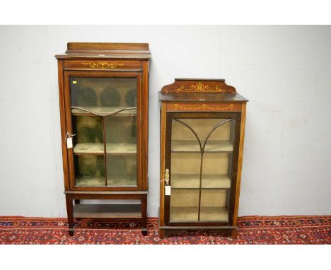 Two early 20th Century display cabinets, the first with rectangular top above an astragal glazed door enclosing two shelves, 