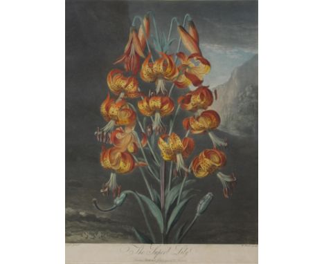 WILLIAM WARD (1766-1826) AFTER RAMSAY RICHARD REINAGLE (1775-1862) THE SUPERB LILY, FROM DR. THORNTON'S `THE TEMPLE OF FLORA`