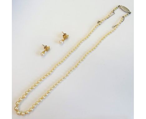 A single row necklace of graduated cultured pearls, on a silver oval clasp, detailed 925 and a pair of gold and cultured pear