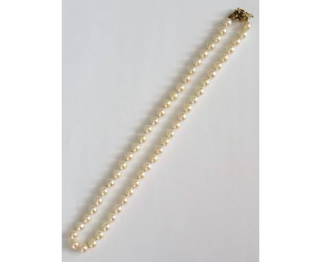 A single row necklace of uniform cultured pearls, on a gold and sapphire three stone clasp, in a stylized flowerhead shaped d