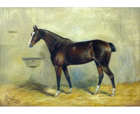 Cuthbert Bradley (British, 1861-1943): 'Pebble', equine portrait, a study of a bay hunter, with docked tail, four white socks