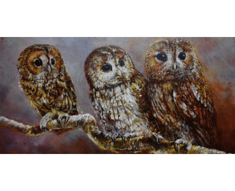 20th Century, coloured print, Tawny Owl, signed indistinctly 'Crane' to the lower right, limited edition, framed, mounted, an