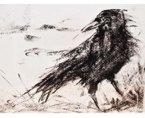 20th Century, print, A crow, signed indistinctly to the lower left, limited edition 35/100, framed, mounted, and under glass,