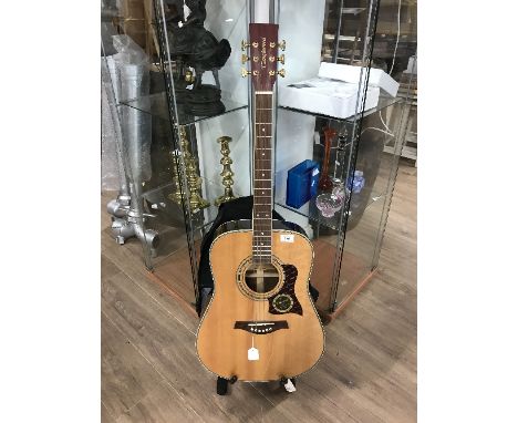 TANGLEWOOD GUITAR WITH BAG