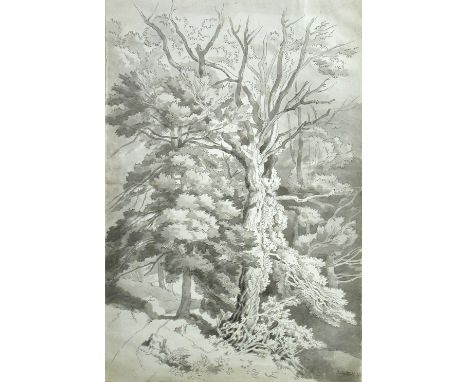 John White Abbott (British, 1763–1851) A forrest path dated "July 27. 1833" lower right pen and ink with sepia wash on paper 