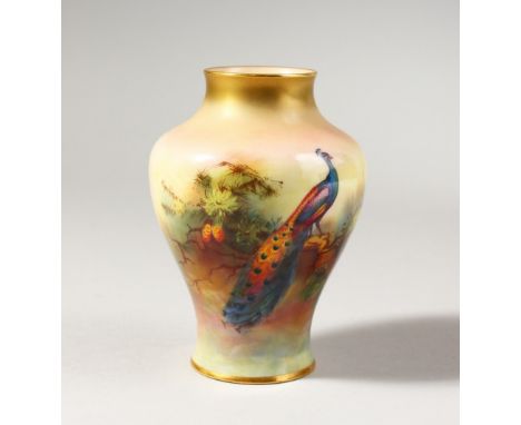 A ROYAL WORCESTER VASE, painted with a peacock, date code for 1916, puce mark.