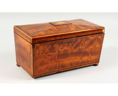 A 19TH CENTURY SARCOPHAGUS SHAPE TEA CADDY. 12ins wide.