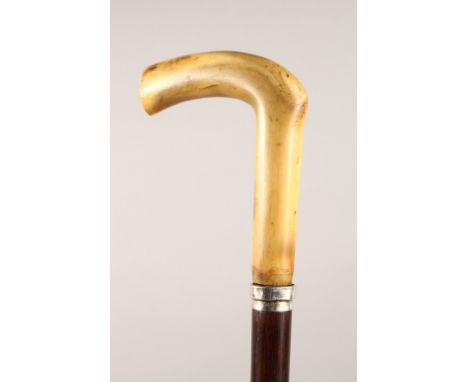 A HORN HANDLED SWORD STICK, with silver collar. 34.75ins long.