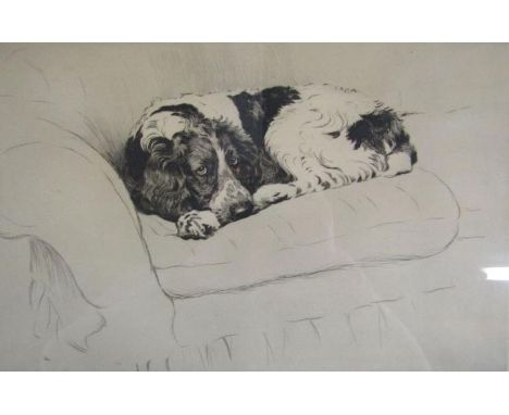 Limited edition 22/100 Cecil Aldin dry point etching of a spaniel on the sofa approx. 44cm x 34cm includes frame&nbsp;