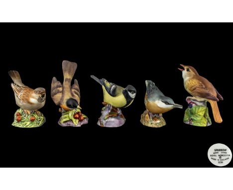 Royal Worcester - Excellent Collection of Hand Painted Bird Figures ( 5 ) In Total. Comprises 1/ Great Tit, Model No 3335. 2/