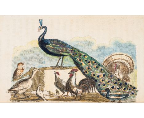 Juvenilia.- A Present for A Little Girl, engraved hand-coloured vignette on title, 27 brightly hand-coloured wood-engraved il