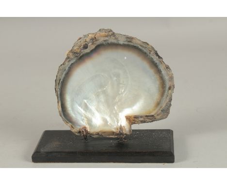 A PEARL CLAM SHELL SPECIMEN on a wooden base. 6ins.