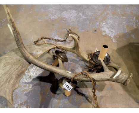 Three sconce antler light fitting. Not available for in-house P&amp;P 