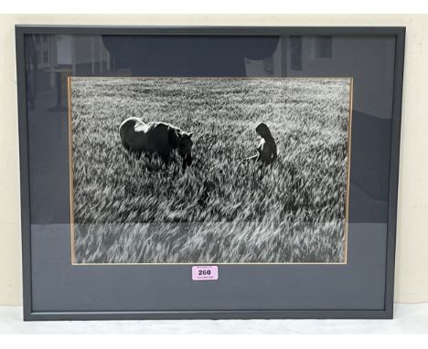 PEDRO LUIS RAOTA. 1934-1986 No.3 Natura 1974. Silver gelatin print. Titled in pen with photographer's stamp verso. 11" x 15½"