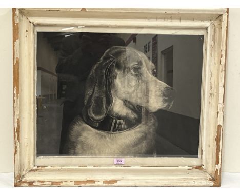 AFTER SIR EDWIN LANDSEER. BRITISH 1802-1875 Odin-Bloodhound. Signed by etcher Rosetta Husiot. Etching 19" x 24"