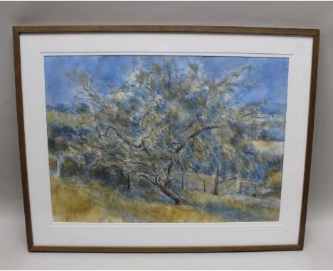 Charles Rodwell R. A.,  a watercolour and wash rural scene with central aged tree, 50cm x 70cm signed and dated 1997, in plai