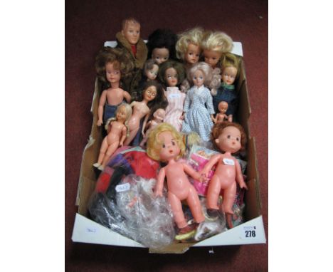 A Collection of Dolls, to include three Sindy's, one Patch and one Paul, two Tressy's, one Mary Quant Daisy Doll and similar 