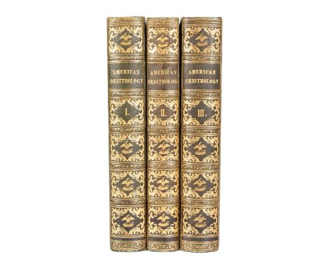 Three volume set titled American Ornithology; or, The Natural History of The Birds of the United States by Alexander Wilson; 
