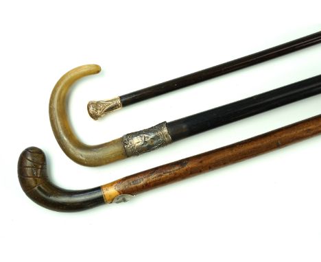 Two late 19th Century ebonised walking sticks, respectively having gilt metal pommel engraved 'OB 1880' and ram's horn, toget