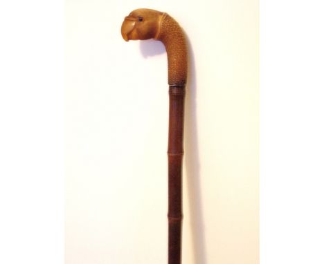 An Edwardian walking stick / can with parrot handle