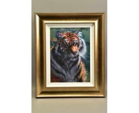ROLF HARRIS (AUSTRALIA 1931) 'TIGER IN THE SUN', a signed limited edition print 174/195, with certificate, approximate sizes 
