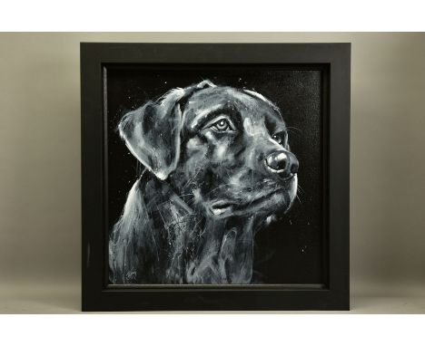 JENNIFER HOGWOOD (BRITISH 1980) 'CLASSIC LABRADOR', a portrait study of a black Labrador, signed bottom left, signed and titl