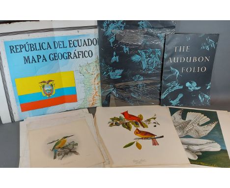 After J.G. Keulemans Revoils Bee-Eater lithograph together with The Audubon folio and various maps of Equador 